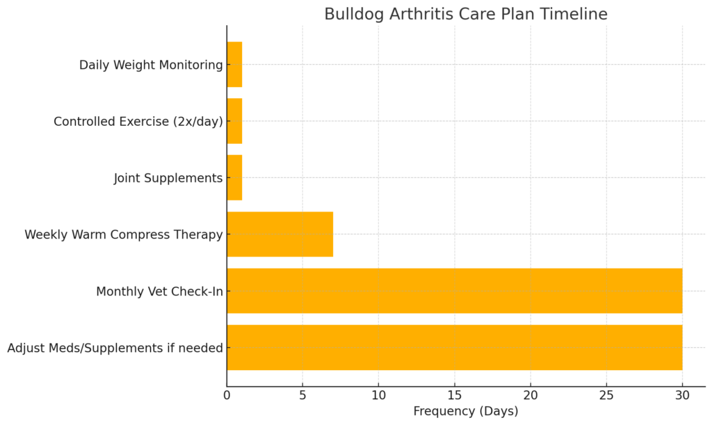 bulldog joint pain and arthritis management schedule