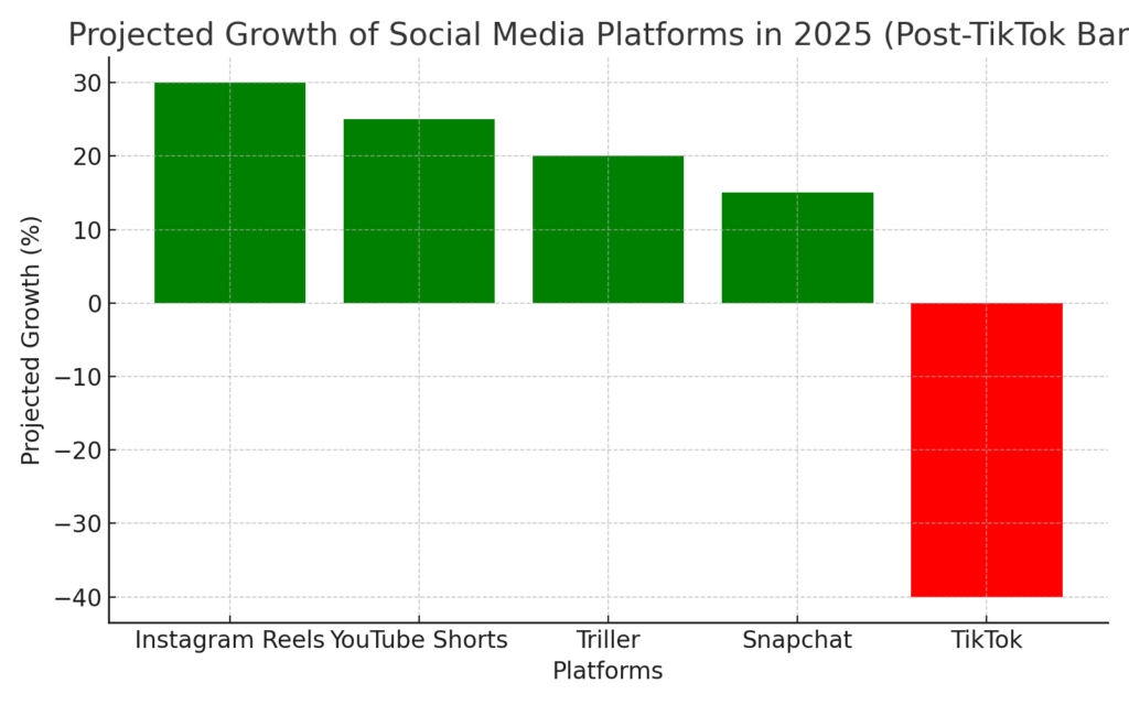 TikTok Ban Effect on Social Media