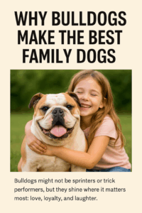 bulldogs